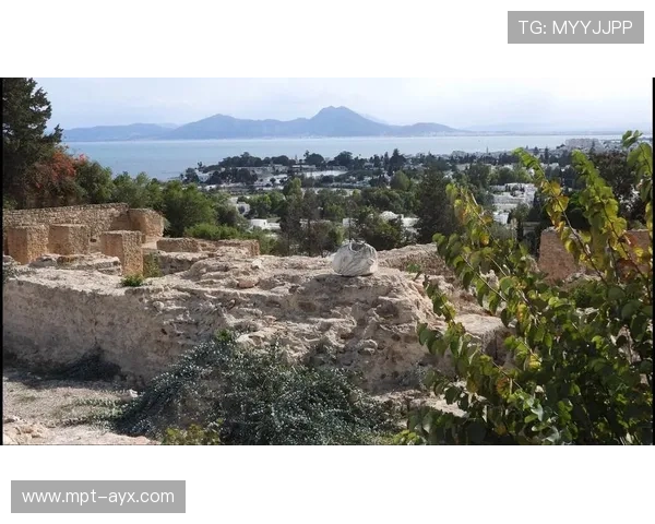 突尼斯迦太基之鹰亮相,象征古文明新力量