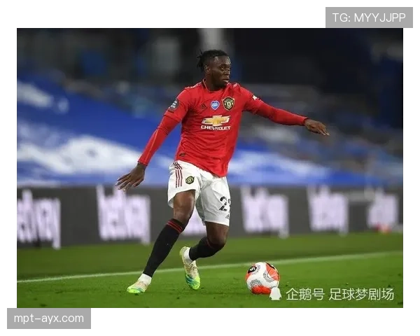 恩迪亚耶华丽蜕变,闪耀英超赛场成赛季焦点 恩迪亚耶华丽蜕变,闪耀英超赛场成赛季焦点